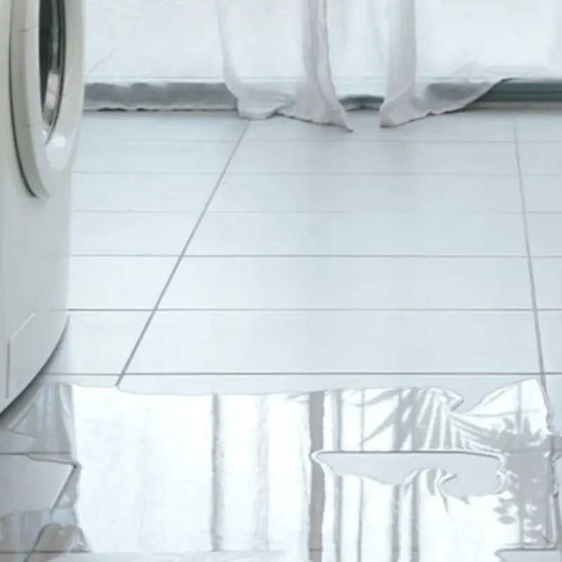 Appliance Leak Cleanup in Clark County, IL