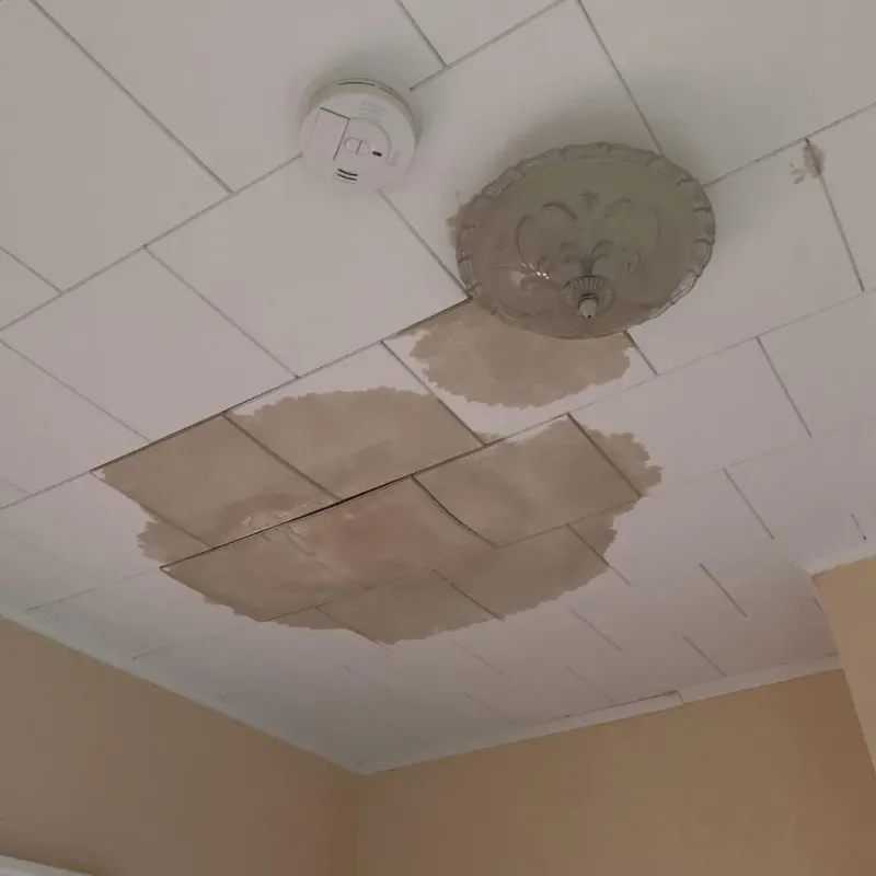 Ceiling Water Damage Repair in Clark County, IL