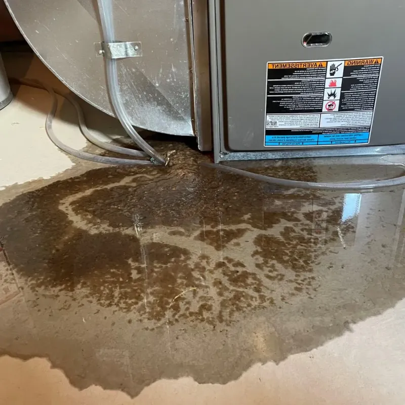 Pipe Burst and Leak Restoration in Clark County, IL