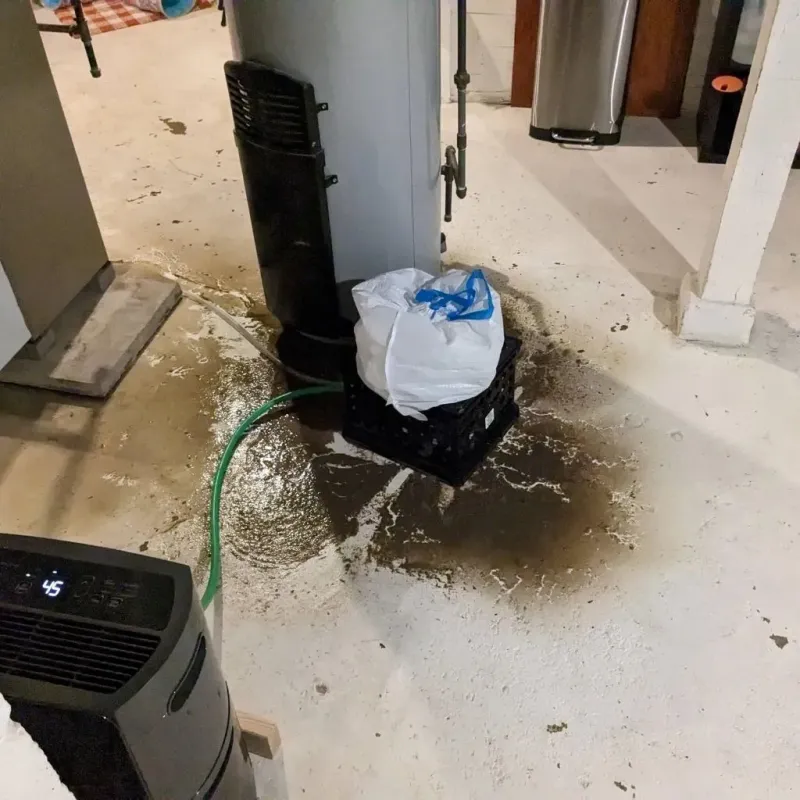 Sewage Backup Cleanup Service in Clark County, IL